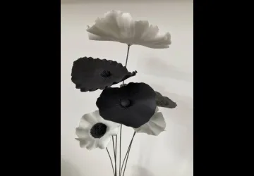 Exposition de porcelaine - Laurence Mallart