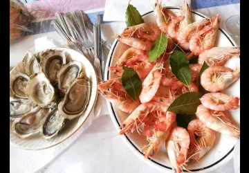 Ferme Marine d'Artouan_Saint-Just-Luzac