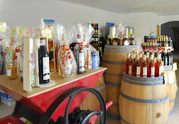 Vignoble Maxime PINARD_La Brée-les-Bains