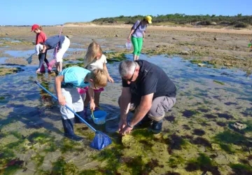 Pêche à pied écologique - L'Ecuissière_Dolus-d'Oléron