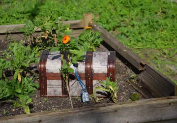 La plage et ses secrets - chasse au trésor_Dolus-d'Oléron