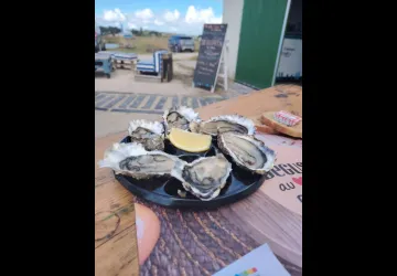 Huîtres Videau - Cabane de dégustation_Saint-Trojan-les-Bains