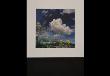 Exposition de peinture - Sylvie Marillaud_Saint-Pierre-d'Oléron