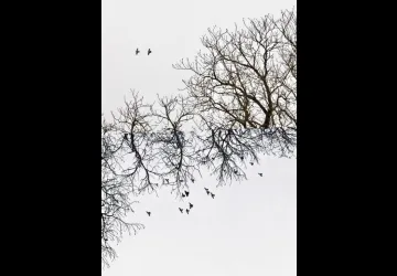 Exposition photographique - Alentours