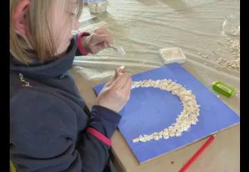 Animation du musée de l'Île d'Oléron : Tomber dans le piège_Saint-Denis-d'Oléron