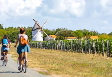 Balade gourmande à vélo - Nord Oléron