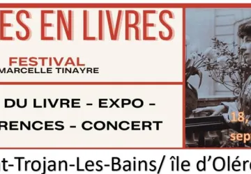 festival 2026